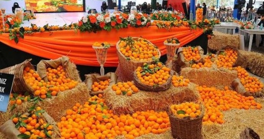 ADANA PORTAKAL ÇİÇEĞİ KARNAVALİ TURU - Görsel 4